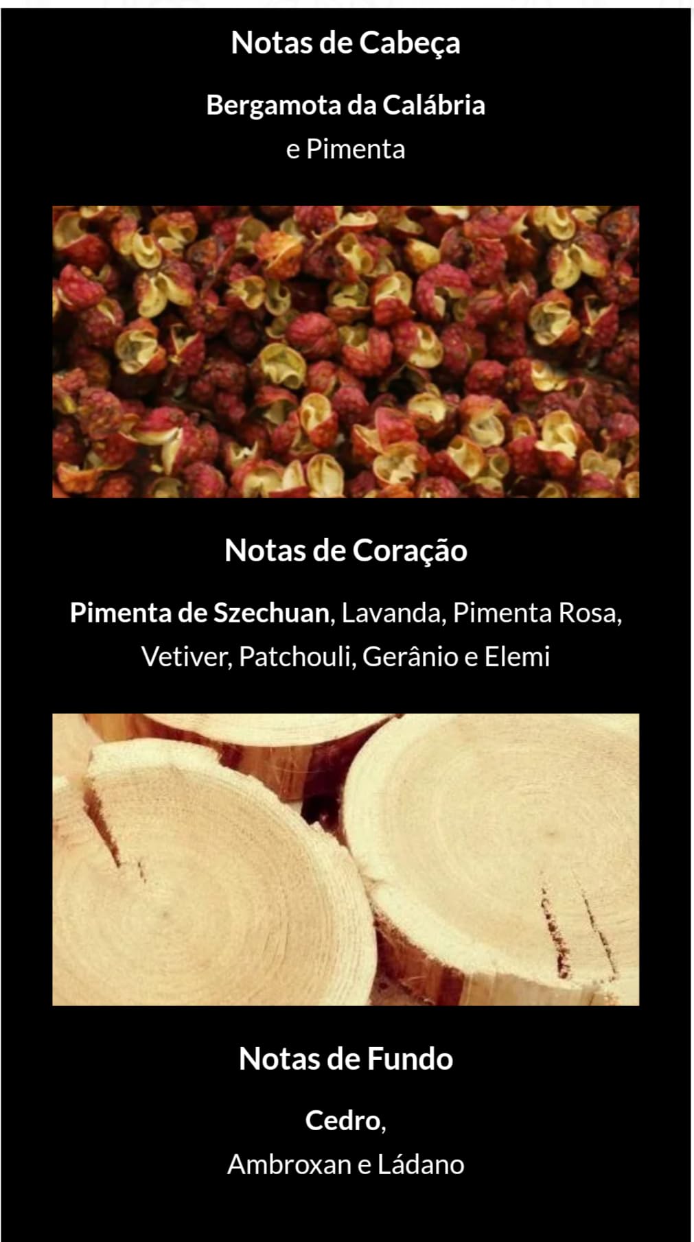 Genérico Perfume Árabe Salvo Intense Maison Alhambra Eau De Parfum 100ml