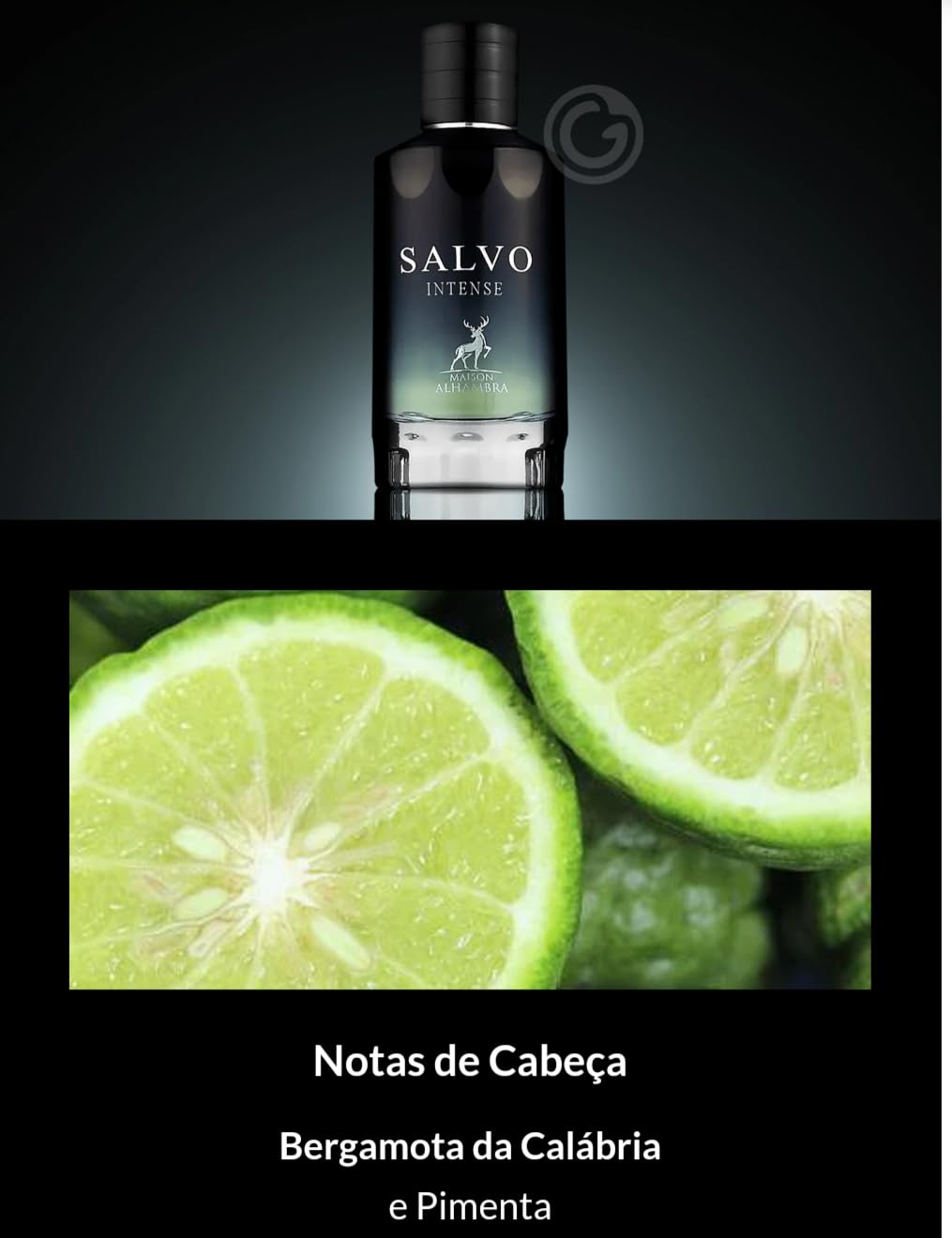 Genérico Perfume Árabe Salvo Intense Maison Alhambra Eau De Parfum 100ml